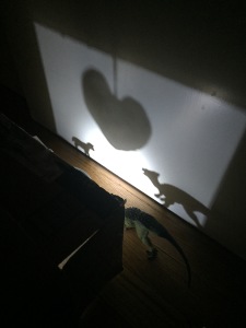 025