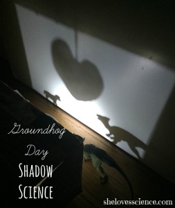 groundhog