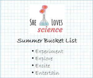 summer bucket