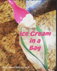 icecreaminabag