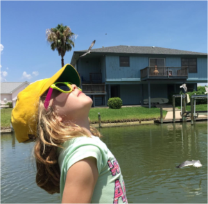 seagulls