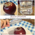 applepost