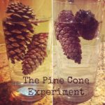 pineconepic